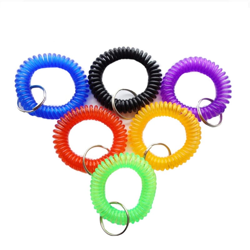 HAMIYELL Pack of 6 Colorful Spring Spiral Wrist Coil Key Chain, Wristband Key Ring - Image 1